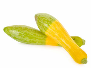 Zucchini / Summer Squash ( 2 lb)