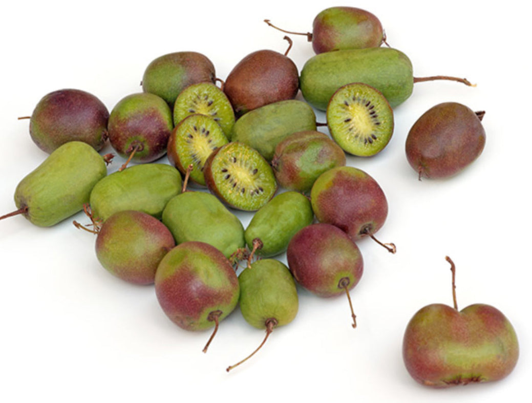 Organic Kiwi