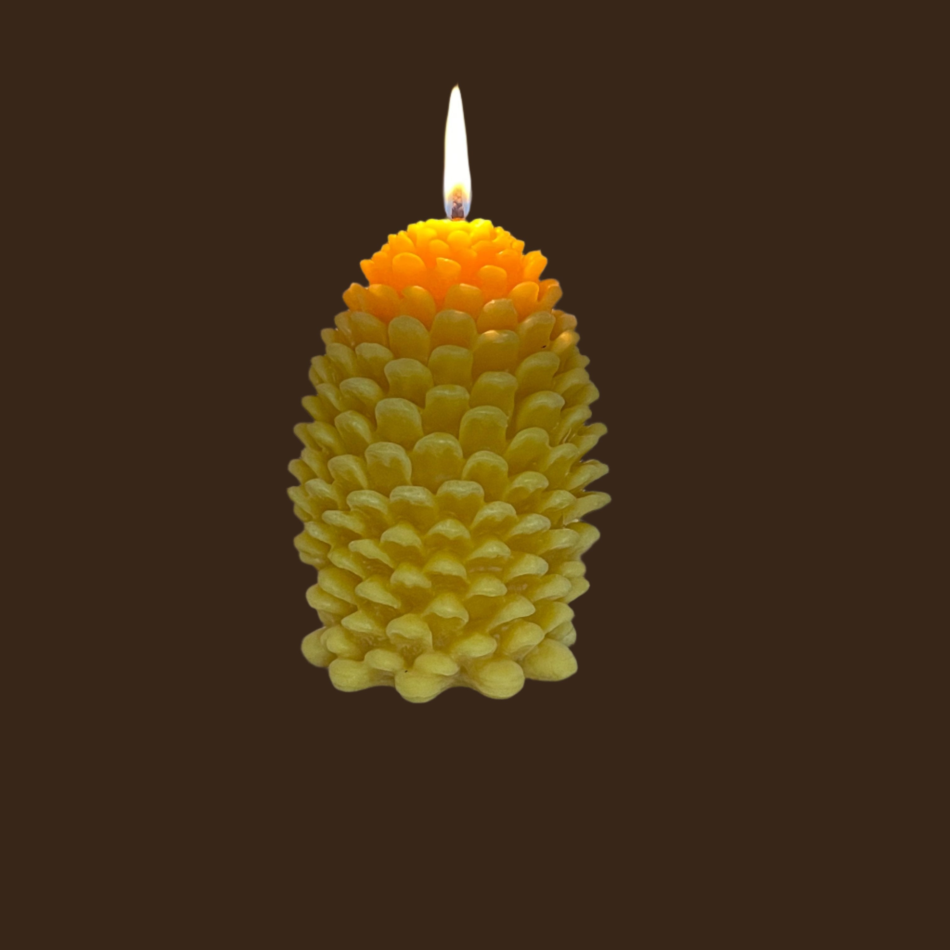 Beeswax Pinecone Candles (5" x 3 ") 13 oz