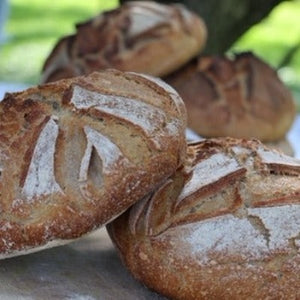 Organic Rye Country Sourdough