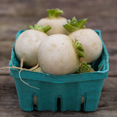 Hakurei Turnips (bunch)