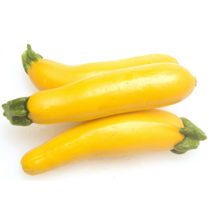 Zucchini / Summer Squash ( 2 lb)