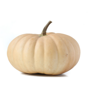 Cheese Pumpkin
