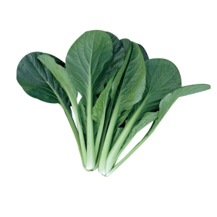 Bok Choy / Komatsuna (12-16oz)
