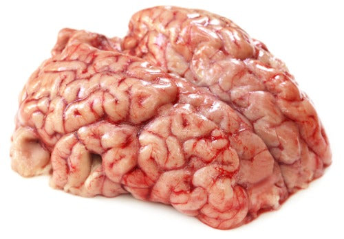 Beef Brain (+/- 1 lb)