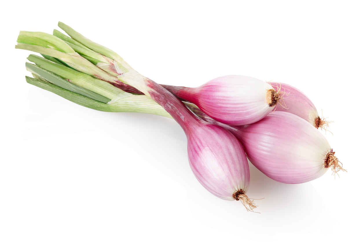 Fresh Onions (bunch)