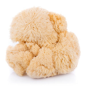 Lions Mane (1/2 lb)