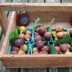 Fresh Figs (1/2 pint)