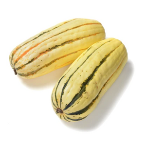 Delicata Squash (+/- 2 lb)