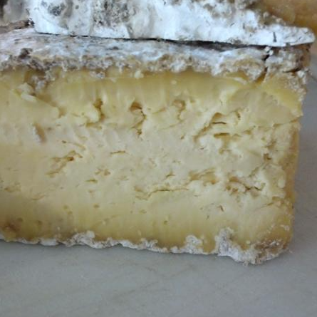 Cow Milk Drumm