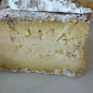 Cow Milk Drumm