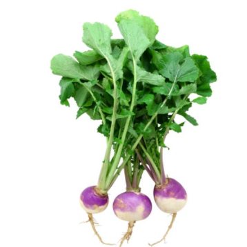 Turnips (2 lb. Variety)