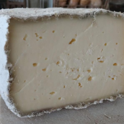 Cow Milk Frolic (1/2 lb +)