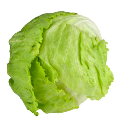 Green Leaf Lettuce (Varieties)