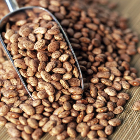 Organic Pinto Beans
