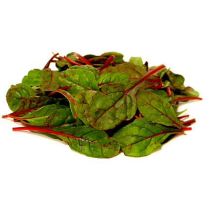 Swiss Chard (bunch)