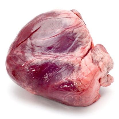 Beef Heart