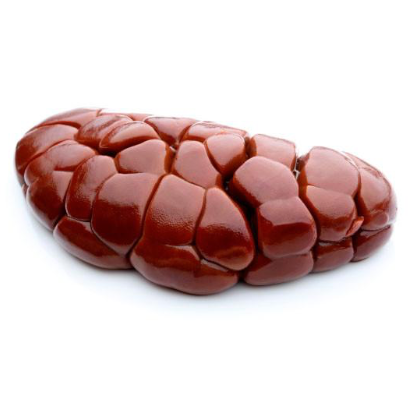 Beef Kidney