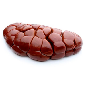 Beef Kidney