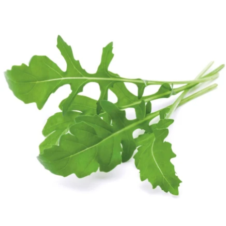 Arugula