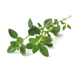 Thyme (bunch)