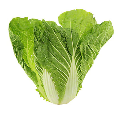 Napa Cabbage (per head)