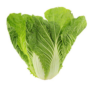 Napa Cabbage (per head)
