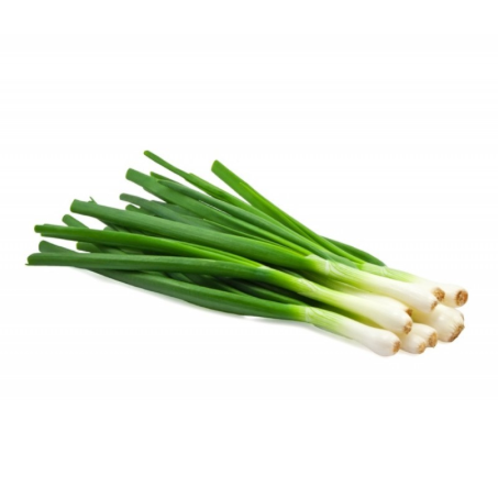 Leeks / Scallions (bunch)