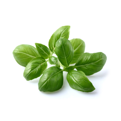 Basil (bunch)