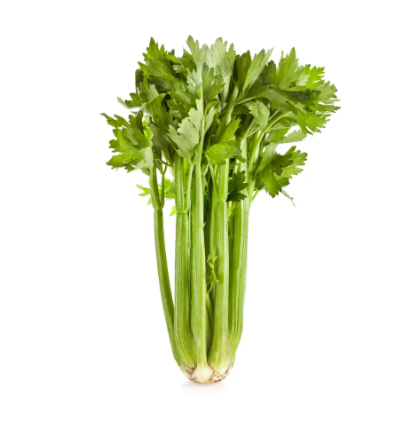 Celery (bunch)