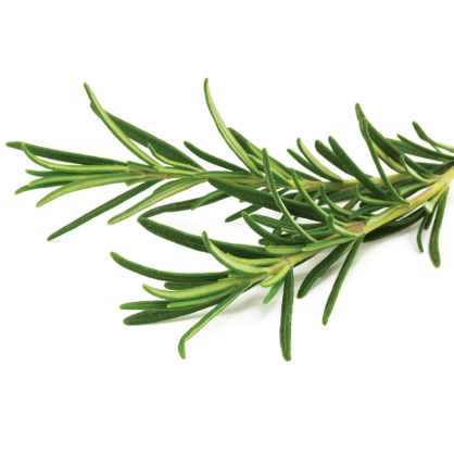Rosemary (bunch)