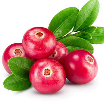 Fresh Cranberries (1 lb.)