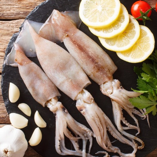 Wild Squid "Calamari"