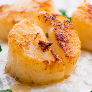 Wild Scallops