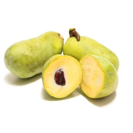 Pawpaw ( 1 lb +)