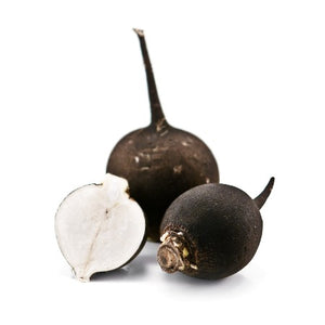Fall / Winter Radish (+/- 2 lb Bunch)