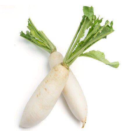 Fall / Winter Radish (+/- 2 lb Bunch)