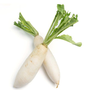 Fall / Winter Radish (+/- 2 lb Bunch)