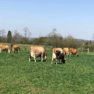 Whole Cows Milk Donation